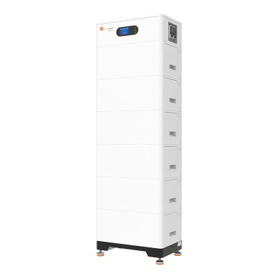 Высоковольтная аккумуляторная батарея FLH96050SMG01 5kWh | 50Ah | 96V